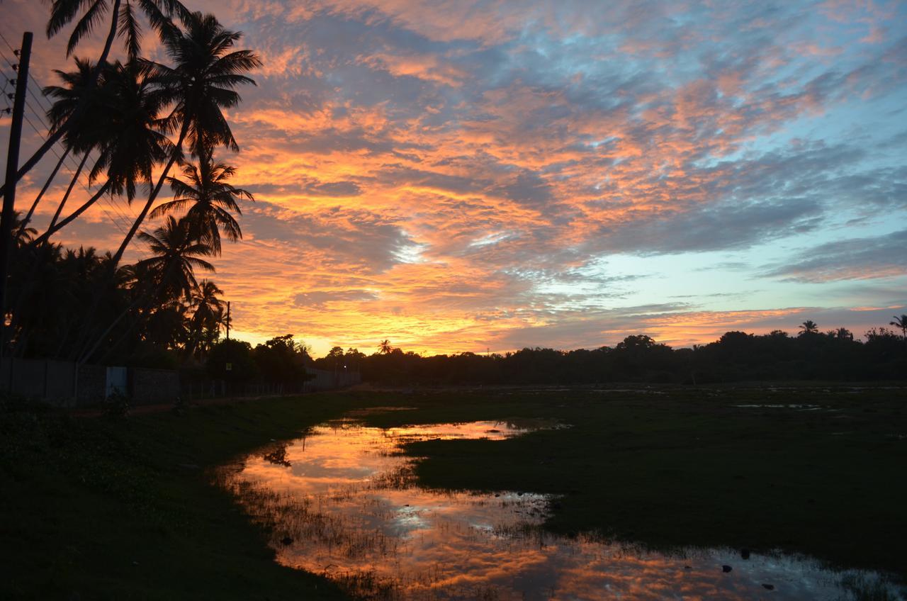 Green Parrot Beach Resort Tangalle Esterno foto