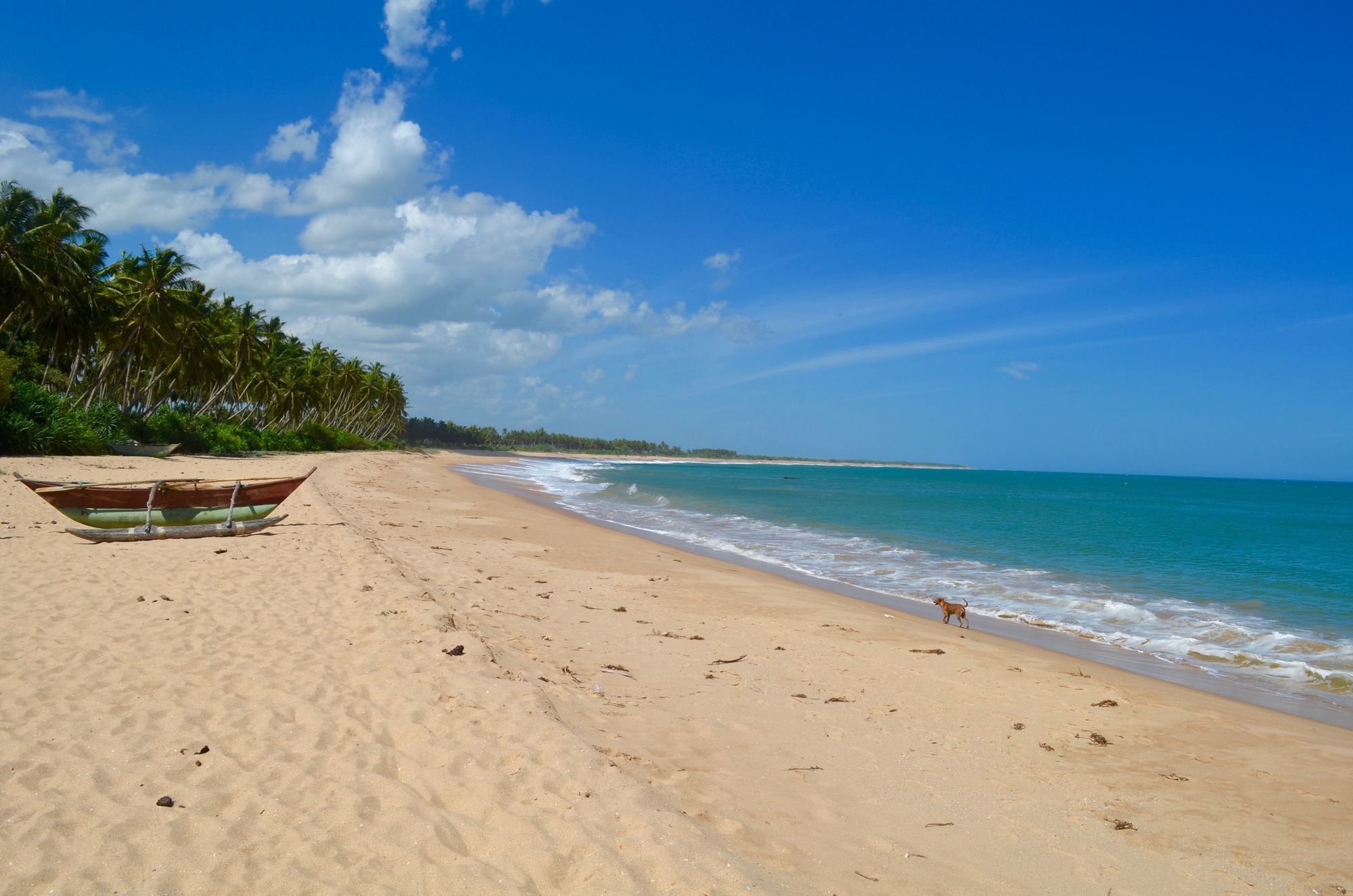 Green Parrot Beach Resort Tangalle Esterno foto